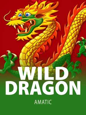 Играть в Wild Dragon на Dragon Money